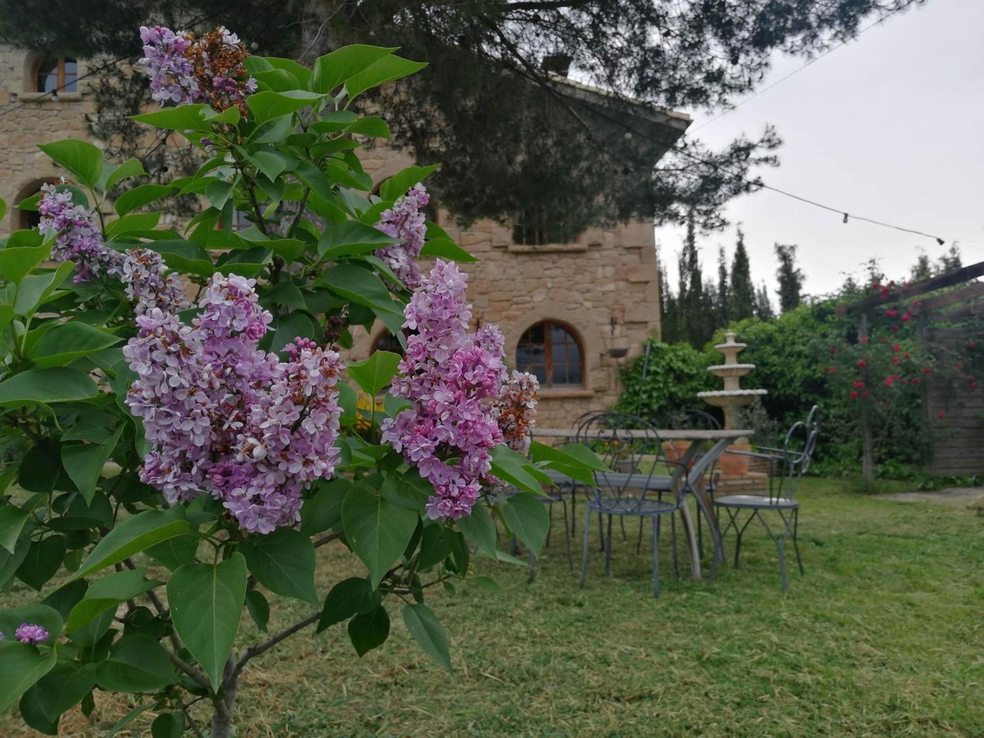 Cal Japet Encant Rural Fonollosa Kültér fotó